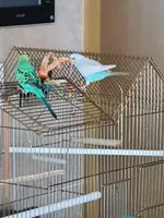 20210615_130707.webp