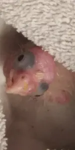 20220918_092124_HDR.webp 20220918_092124_HDR.webp