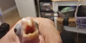 20220918_131041_HDR.webp 20220918_131041_HDR.webp