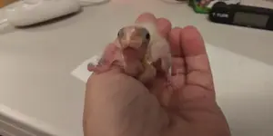 20220918_131737_HDR.webp 20220918_131737_HDR.webp