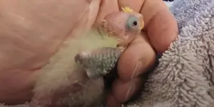 20220921_101615_HDR.webp 20220921_101615_HDR.webp