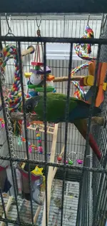 20220924_162119.webp