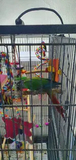 20220924_162042.webp