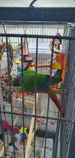 20220924_162113.webp