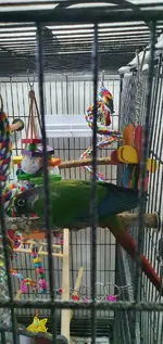 20220924_162141.webp