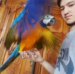 Screenshot_20220812-090728.webp