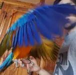 Screenshot_20220812-090744.webp