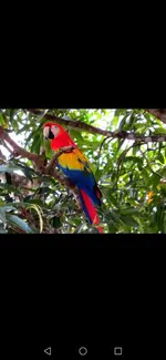 Screenshot_20221010_212244_com.facebook.orca.webp