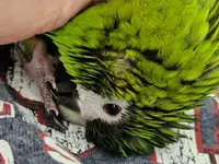 20220314_111937.webp