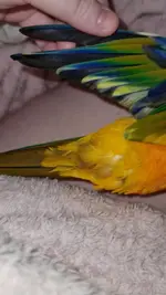 VideoCapture_20221021-172949.webp