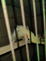 IMG20221112223237.webp