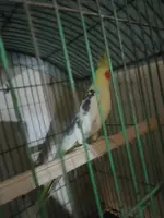 IMG20221112223219.webp