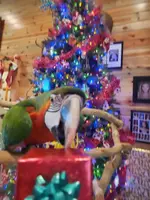 20221205_094806.webp