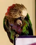20221206_111540.webp