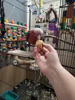 20221212_105827.webp