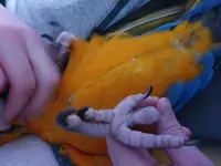20230112_192538.webp