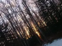 GEDC0648.webp