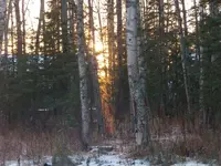 GEDC0647.webp