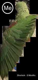BCE2881D-B5E7-4B8B-A544-77C4594BC79C.webp