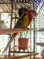 IMG_20230315_114044.webp