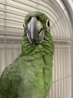 tempImageBBxzYu.webp