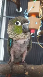 20230318_151806.webp