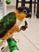 20230331_172618.webp