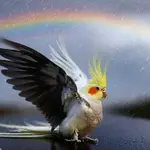 Screenshot 2023-04-07 143248.webp