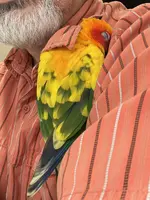C79FCE12-8A62-4EE7-B6ED-99D67444CA19.webp