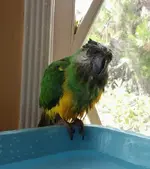 2013-07-13 10.36.45-1.webp