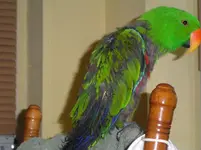 002.webp