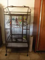 gizmo's_cage2.webp