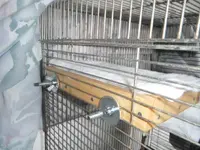 DSCF0129.webp