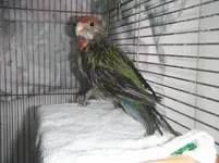 DSCF0133.webp