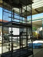 2011-12-31 16.15.33.webp