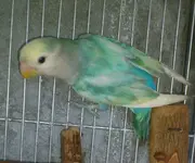 1176367_10200824062342398_331140703_n.webp