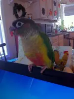 Oct 2012 cell pics 029.webp