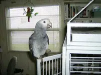 HPIM3404.webp