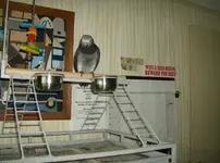 HPIM3399.webp