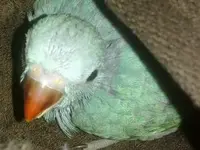 25102012426222.webp