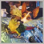 iphone pics 172.webp