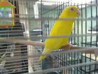Soleil.webp