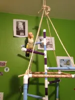 pippi_on_her_playgym.webp
