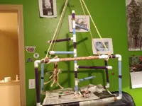 playgym.webp