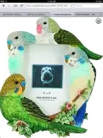 ImageUploadedByTapatalk1352739094.016443.webp