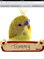 ImageUploadedByTapatalk1352739121.382632.webp