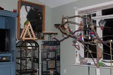 living room 2.webp
