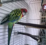Photo0397.webp