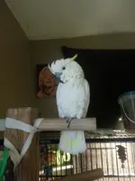 20121119_145408.webp 20121119_145408.webp