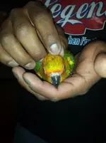 20131029_143222.webp